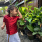 Kids Wear Child Buddha - Handpainted Dhoti